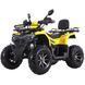 Квадроцикл SP200-10Е 000231202 фото 8