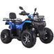 Квадроцикл SP200-10Е 000231202 фото 2