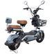 Велосипед з електродвигуном SPARK GLIDE 14" 60V/500W/20Ah Зелена шавлія 000227064 фото 8