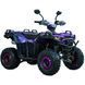 Квадроцикл SP125-11 000231208 фото 1