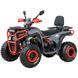 Квадроцикл SP200-5 000228880 фото 6